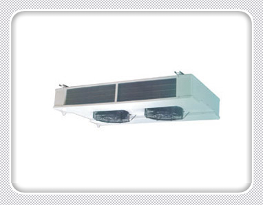 DHF Series Double Side Blowing Air Coolers, click to see details