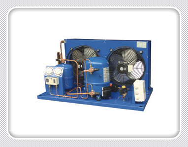 Maneurop HGM/MGM Series Air - Cooled Condensing Units , click to see details