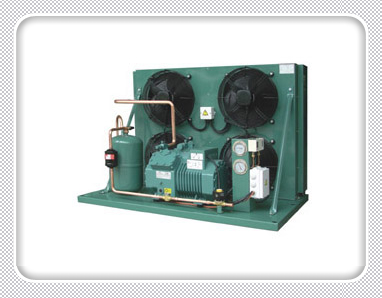 Bitzer CD series Condensing Units, click to see details