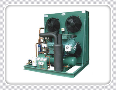 Bitzer CD/FWS Series Condensing Units , click to see details