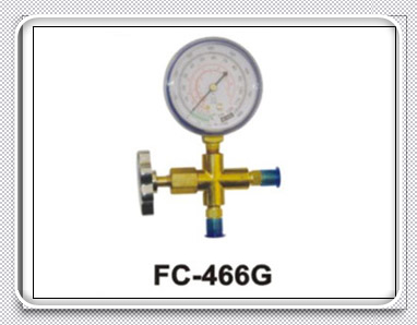 Single Gauge Valve, click to see details